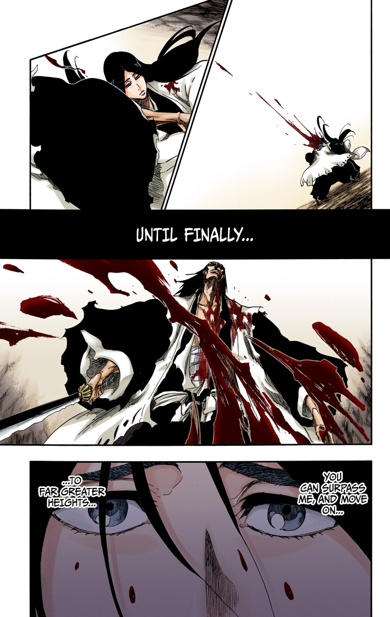 Bleach manga, chapter 525, page 17 of 20