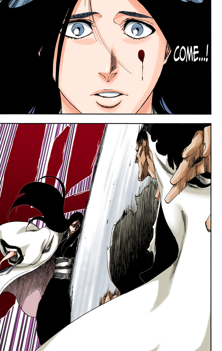 Bleach manga, chapter 525, page 19 of 20