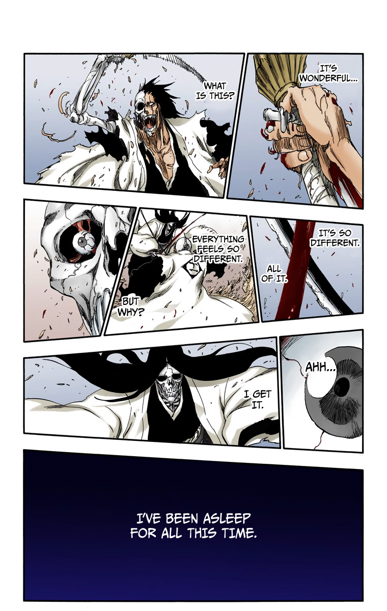Bleach manga, chapter 526, page 10 of 20