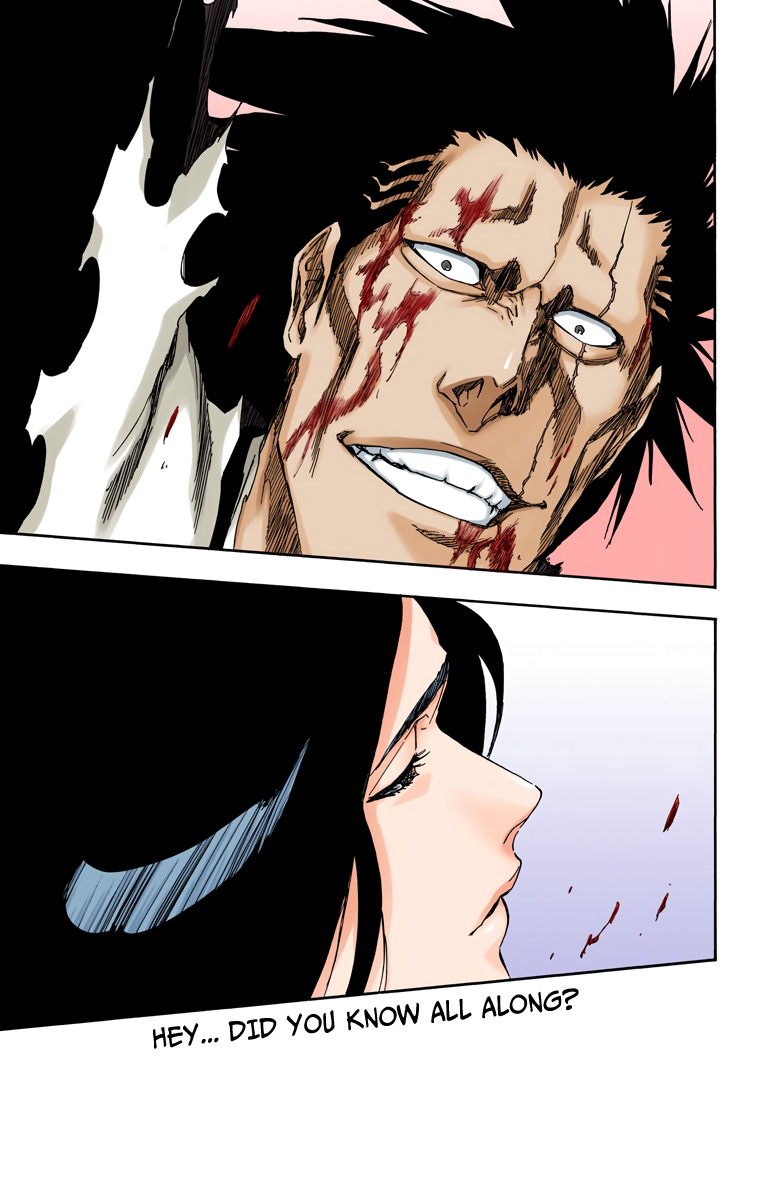 Bleach manga, chapter 526, page 13 of 20