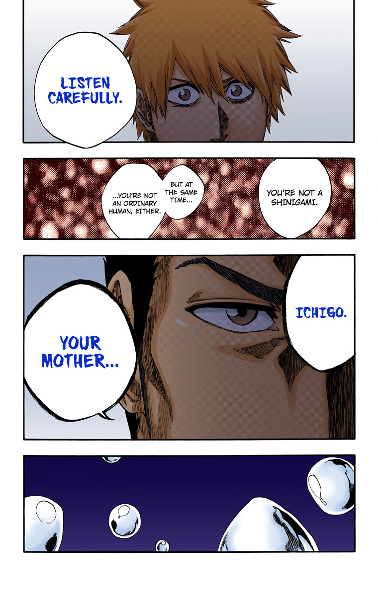 Bleach Chapter 528 page 17 - Chapter 528 : Everything But the Rain 1
