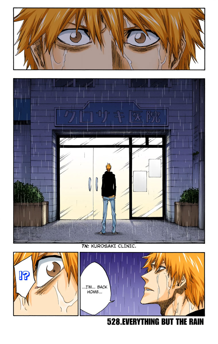 Bleach Chapter 528 page 3 - Chapter 528 : Everything But the Rain 1