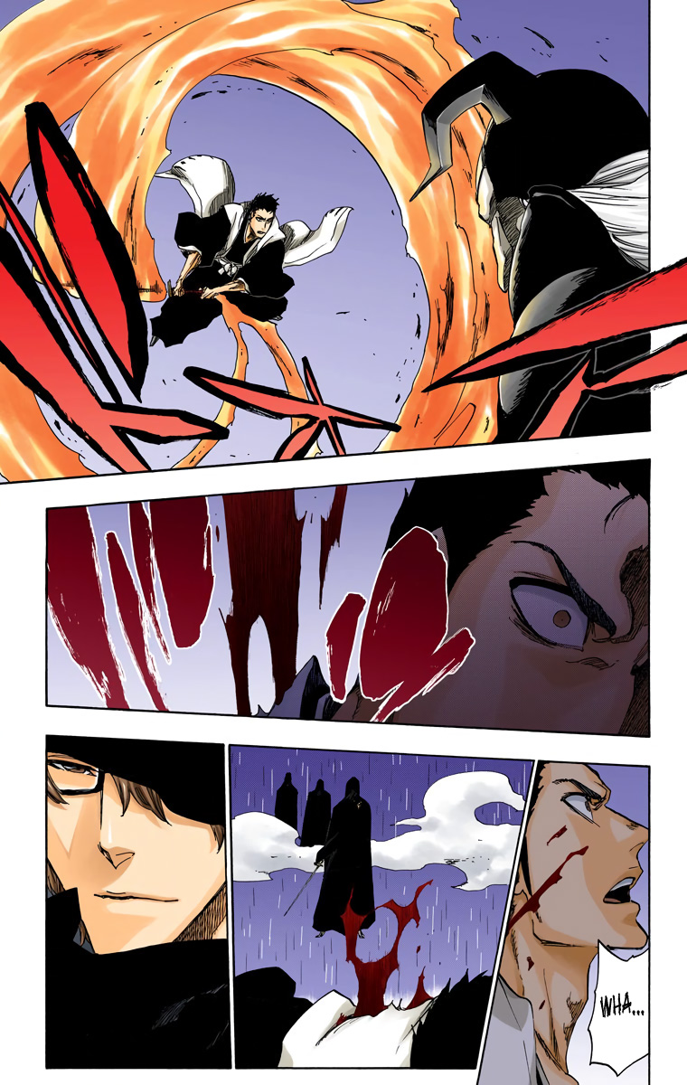 Bleach manga, chapter 531, page 19 of 20