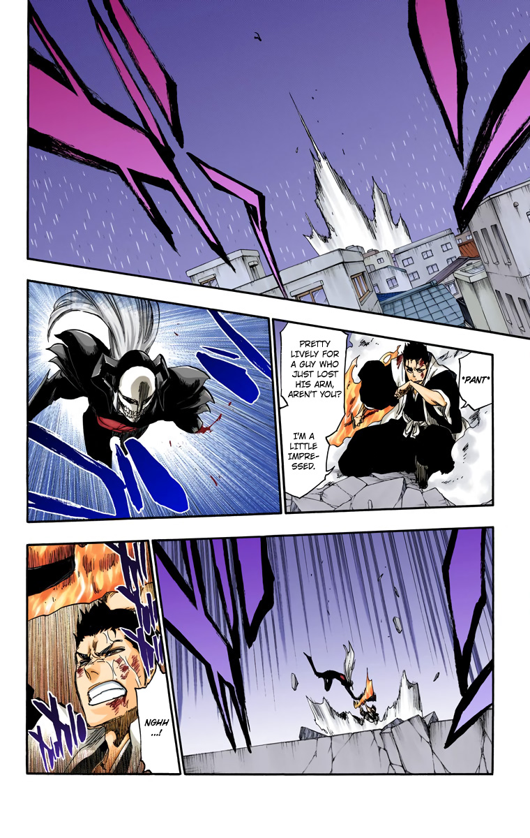Bleach manga, chapter 532, page 13 of 19