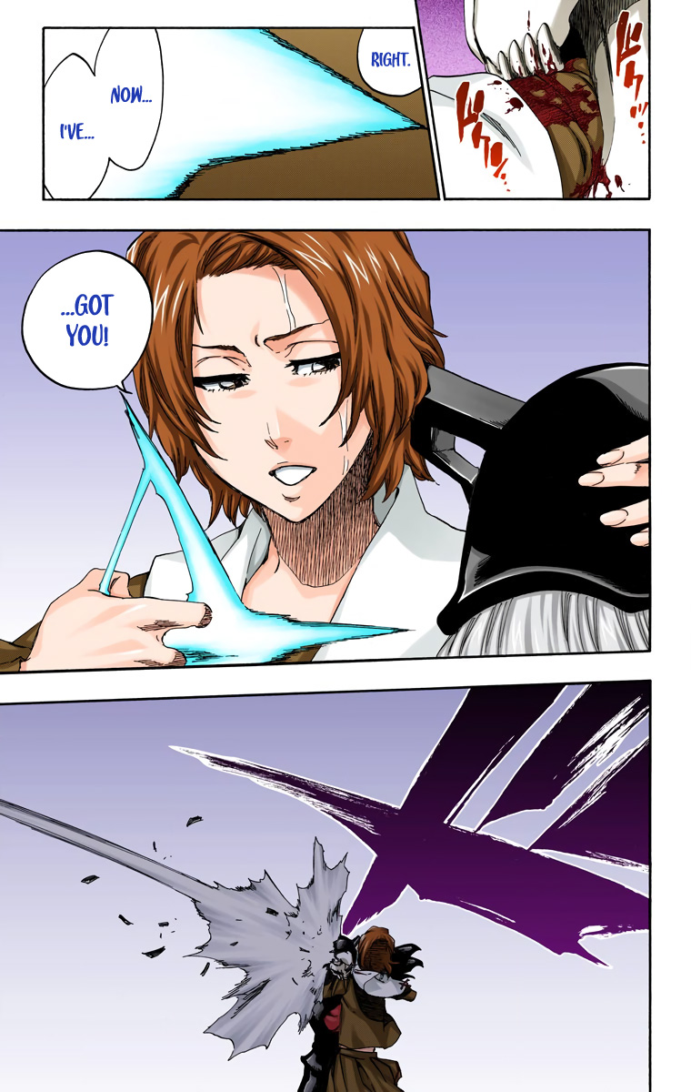 Bleach manga, chapter 532, page 18 of 19
