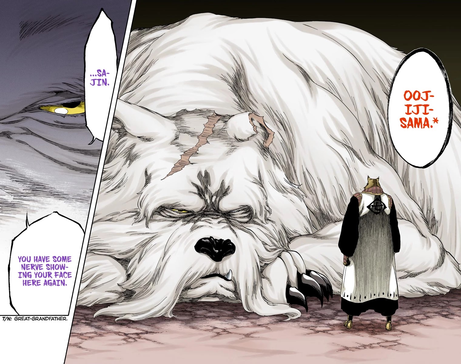 Bleach manga, chapter 538, page 17 of 18