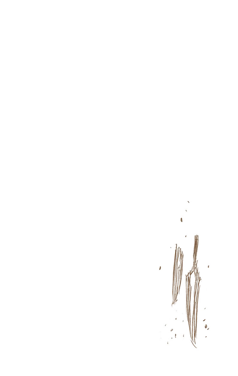 Bleach manga, chapter 542, page 17 of 17