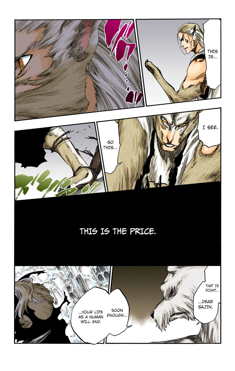 Bleach manga, chapter 558, page 13 of 22