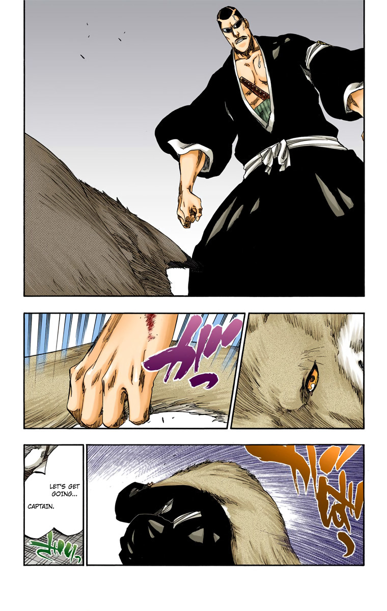 Bleach manga, chapter 558, page 17 of 22