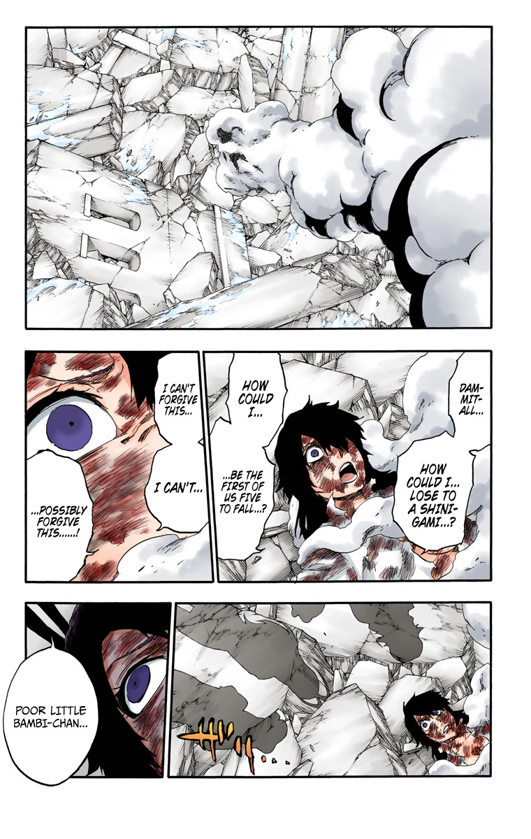 Bleach manga, chapter 558, page 19 of 22