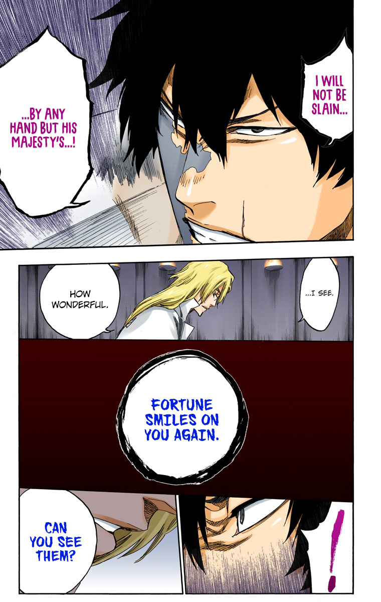 Bleach manga, chapter 559, page 14 of 19