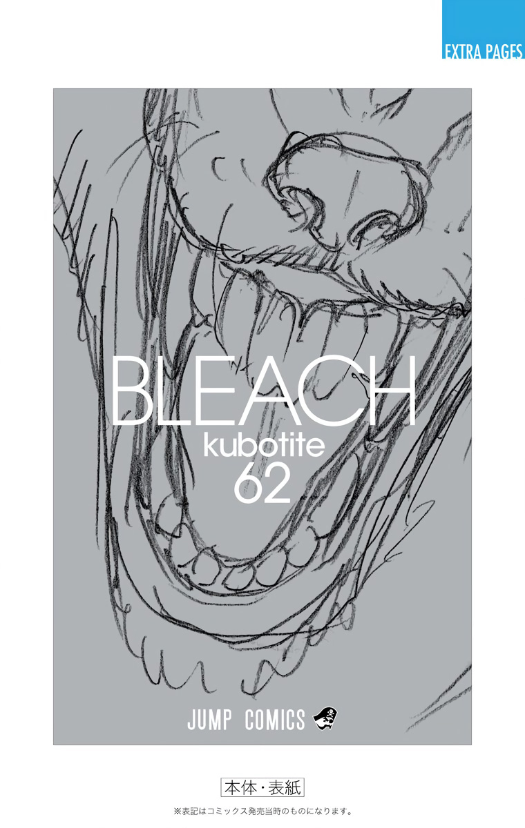 Bleach manga, chapter 560, page 23 of 24