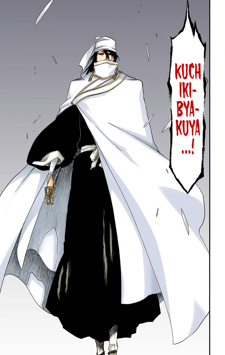 Bleach manga, chapter 568, page 17 of 18
