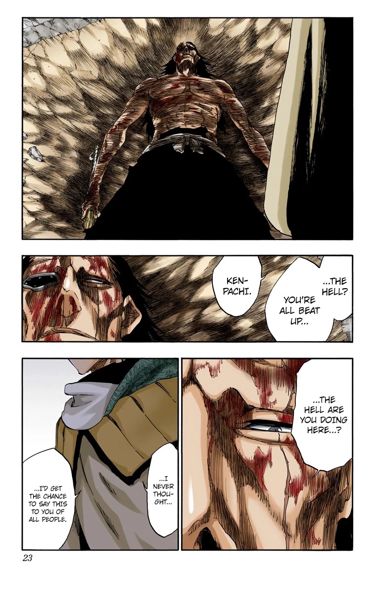 Bleach Chapter 581 page 19 - Chapter 581: The Hero 2
