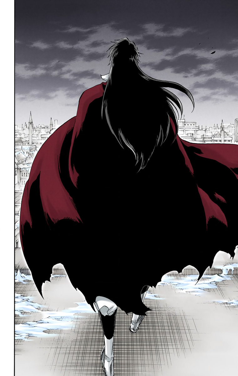 Bleach manga, chapter 582, page 17 of 19