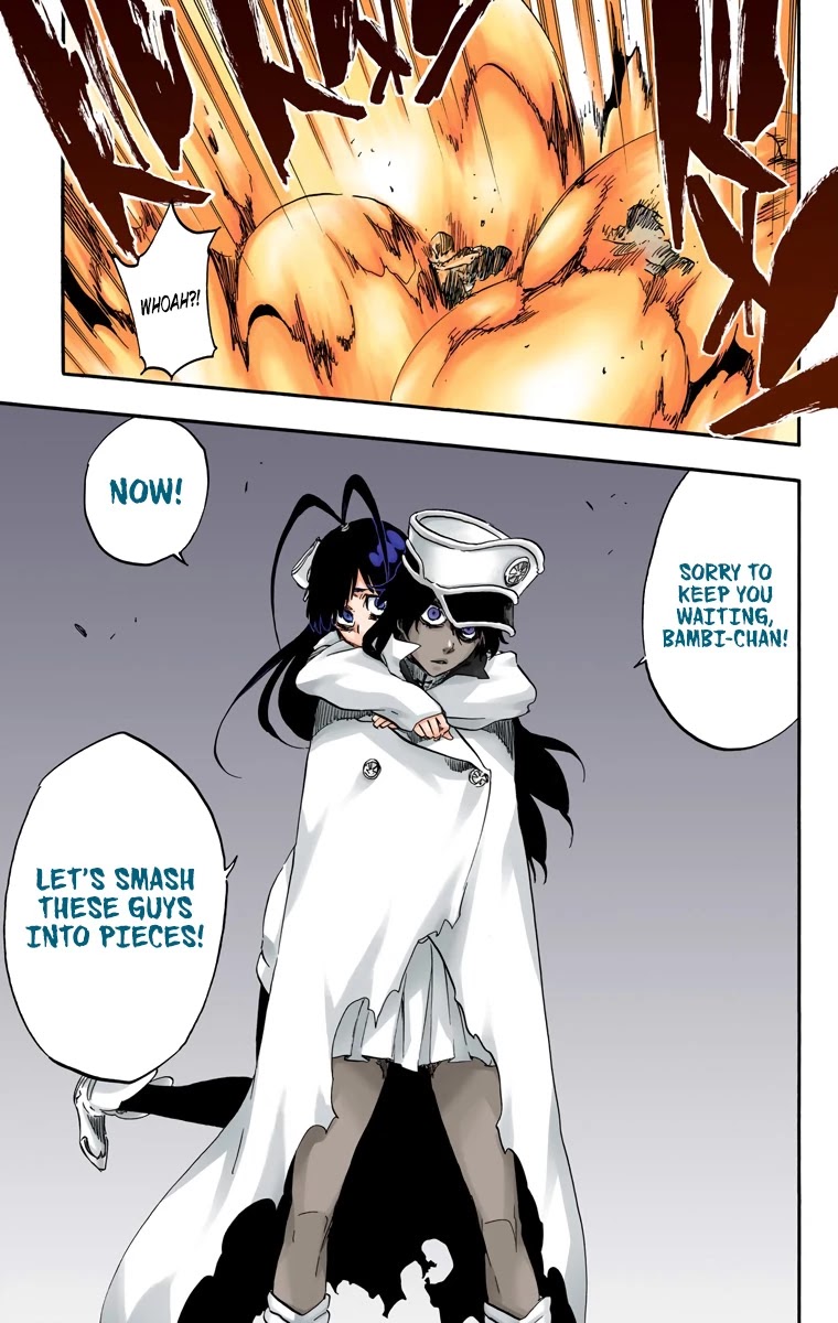 Bleach manga, chapter 588, page 18 of 19