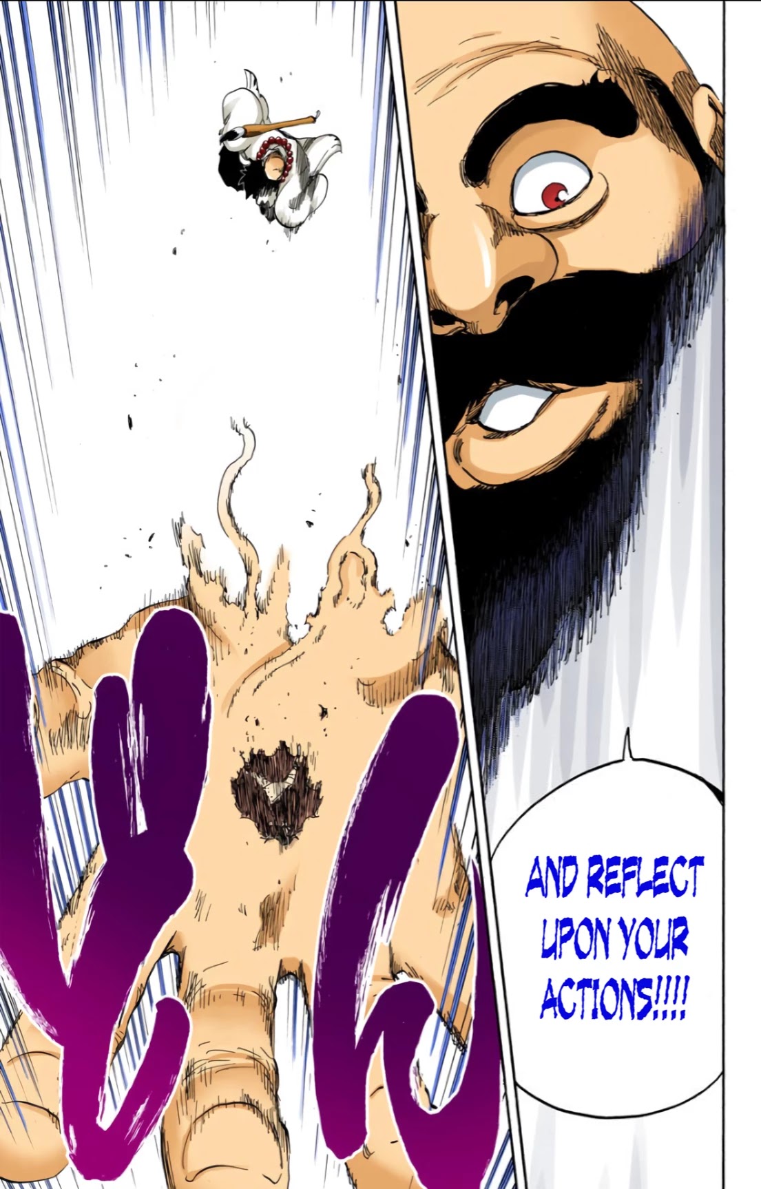 Bleach manga, chapter 605, page 13 of 18
