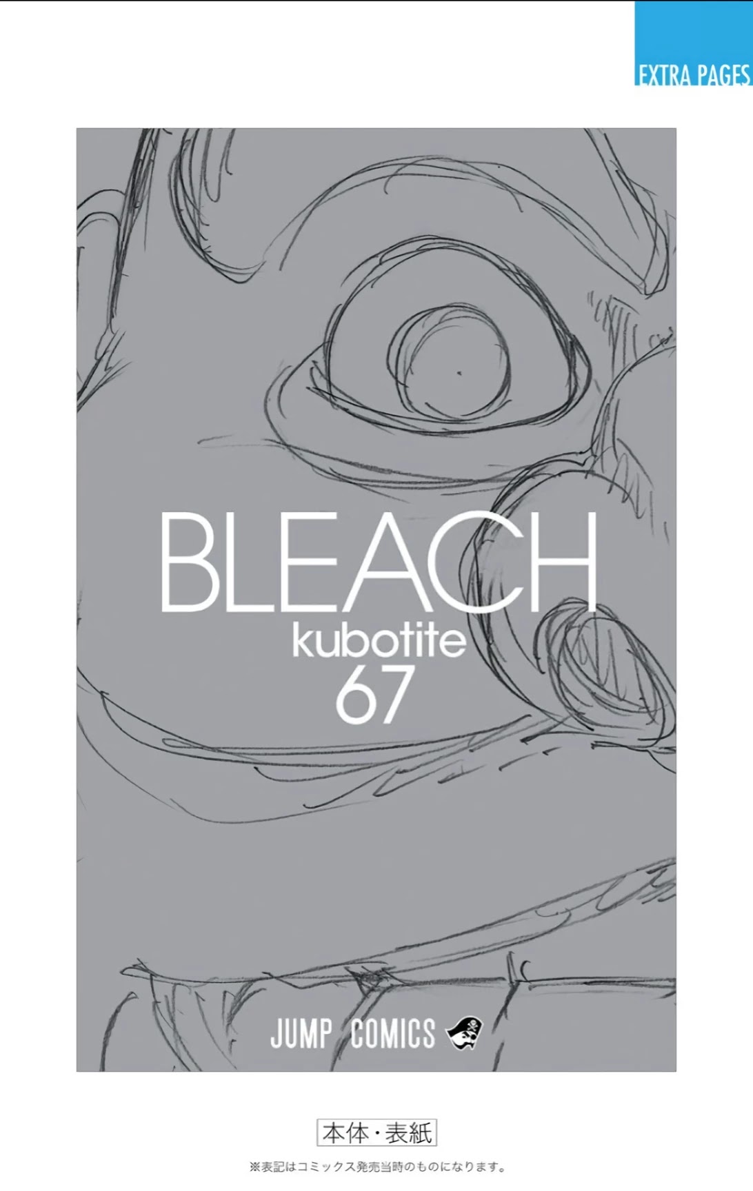 Bleach manga, chapter 611, page 21 of 23