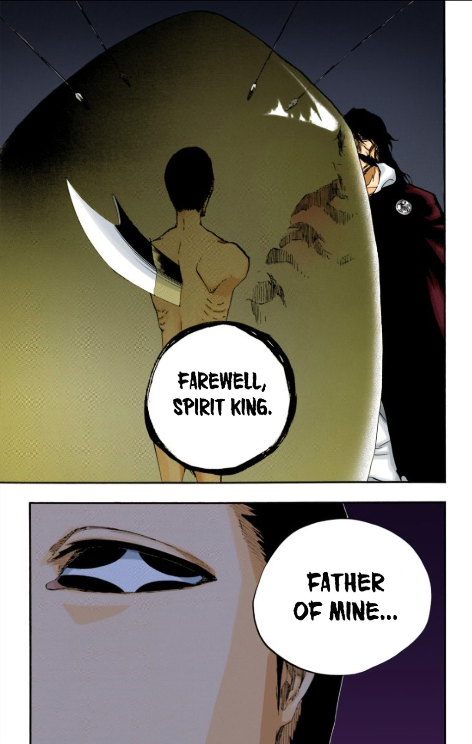 Bleach manga, chapter 612, page 7 of 22
