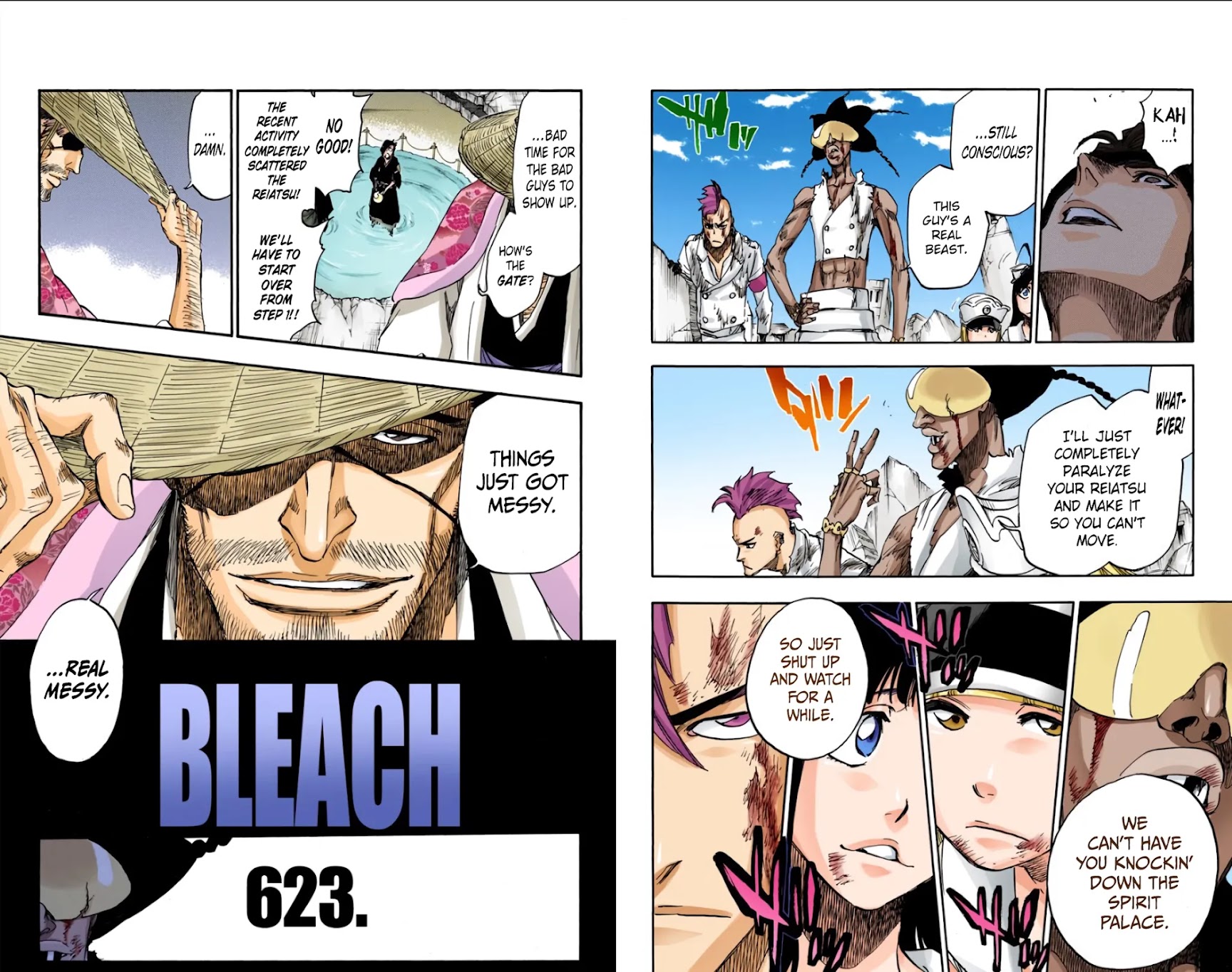 Bleach manga, chapter 623, page 9 of 14