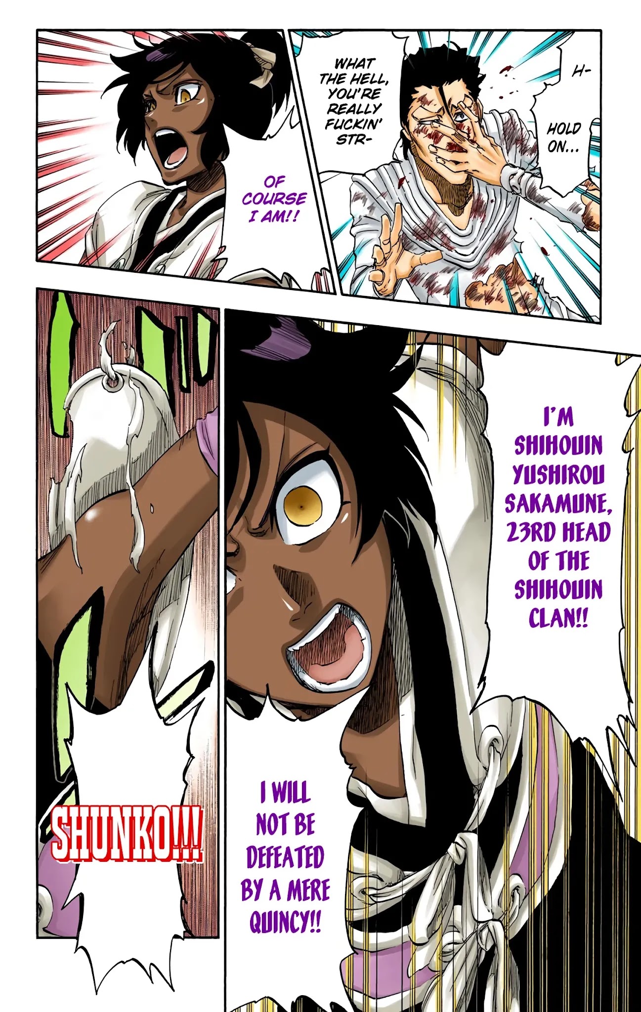 Bleach manga, chapter 657, page 14 of 18
