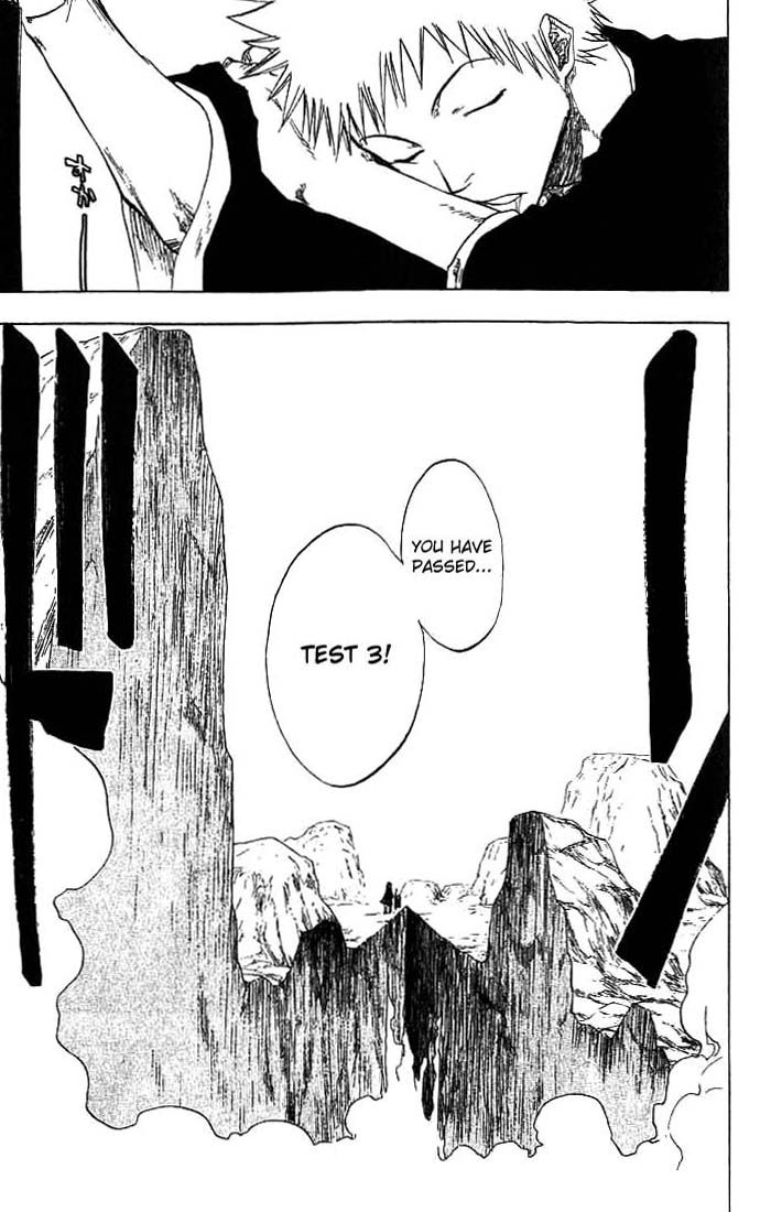 Bleach Chapter 67 page 17 - Chapter 67: End of Lessons