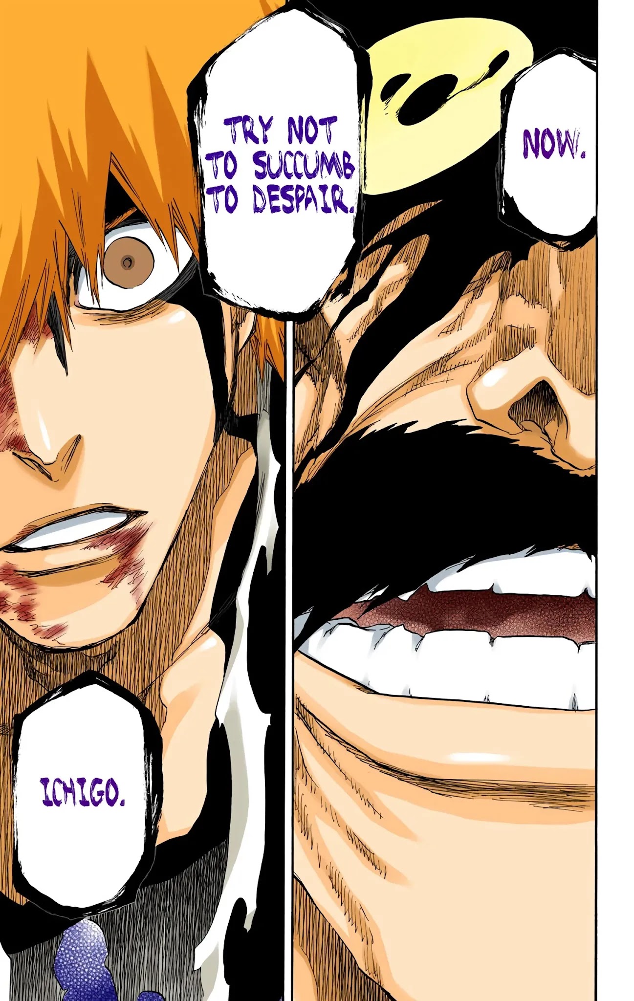 Bleach manga, chapter 678, page 15 of 17