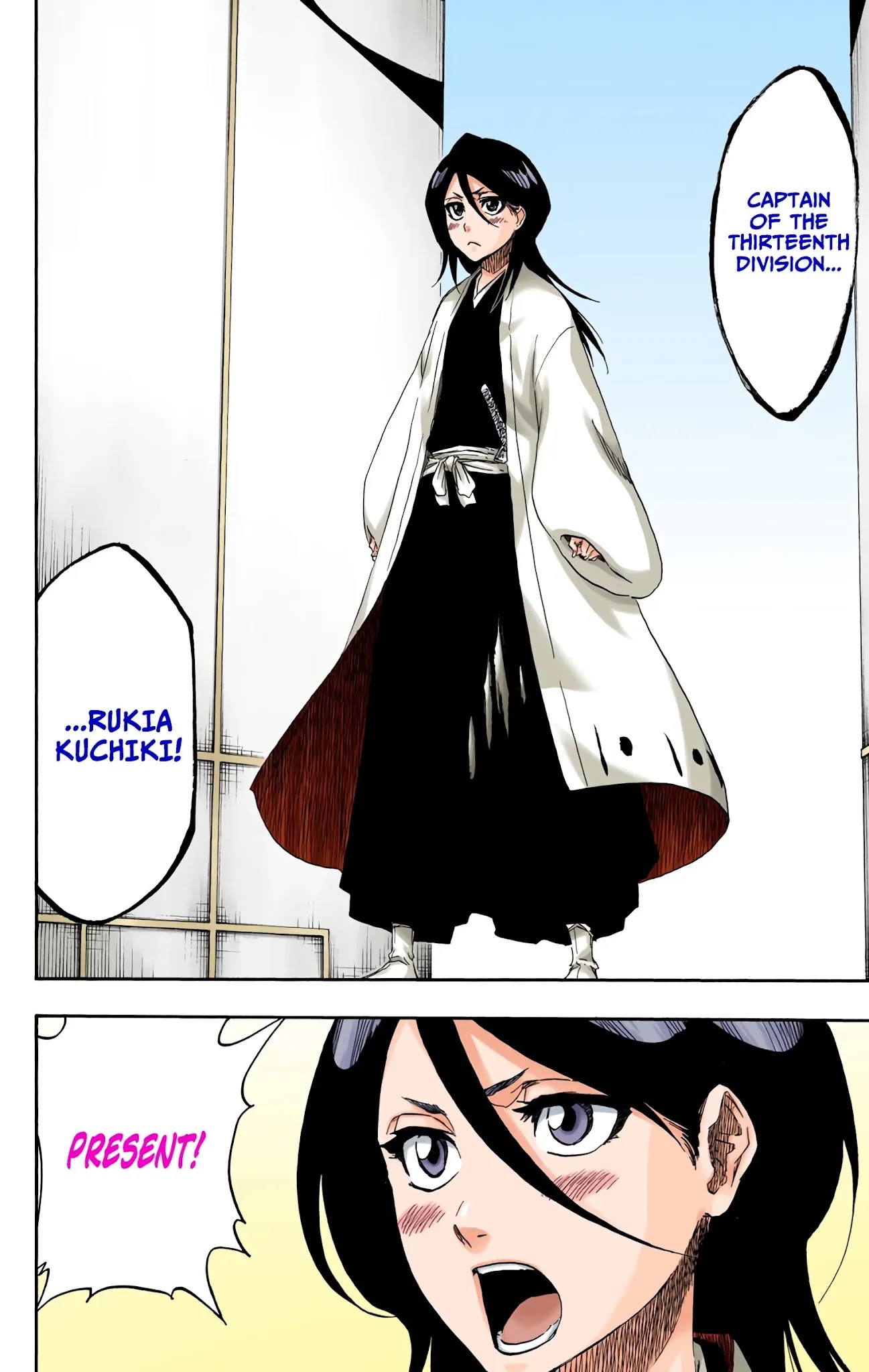 Bleach manga, chapter 685, page 17 of 20