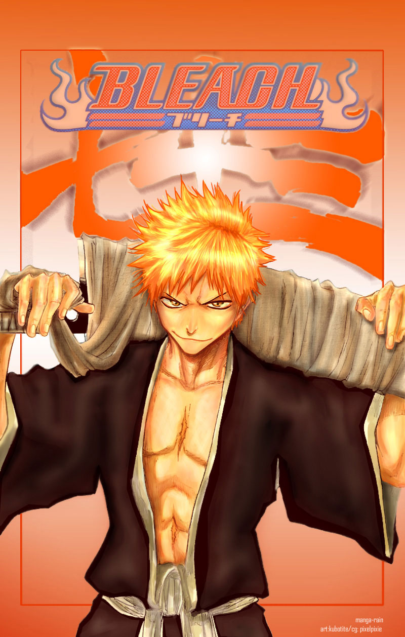 Bleach manga, chapter 73, page 5 of 19