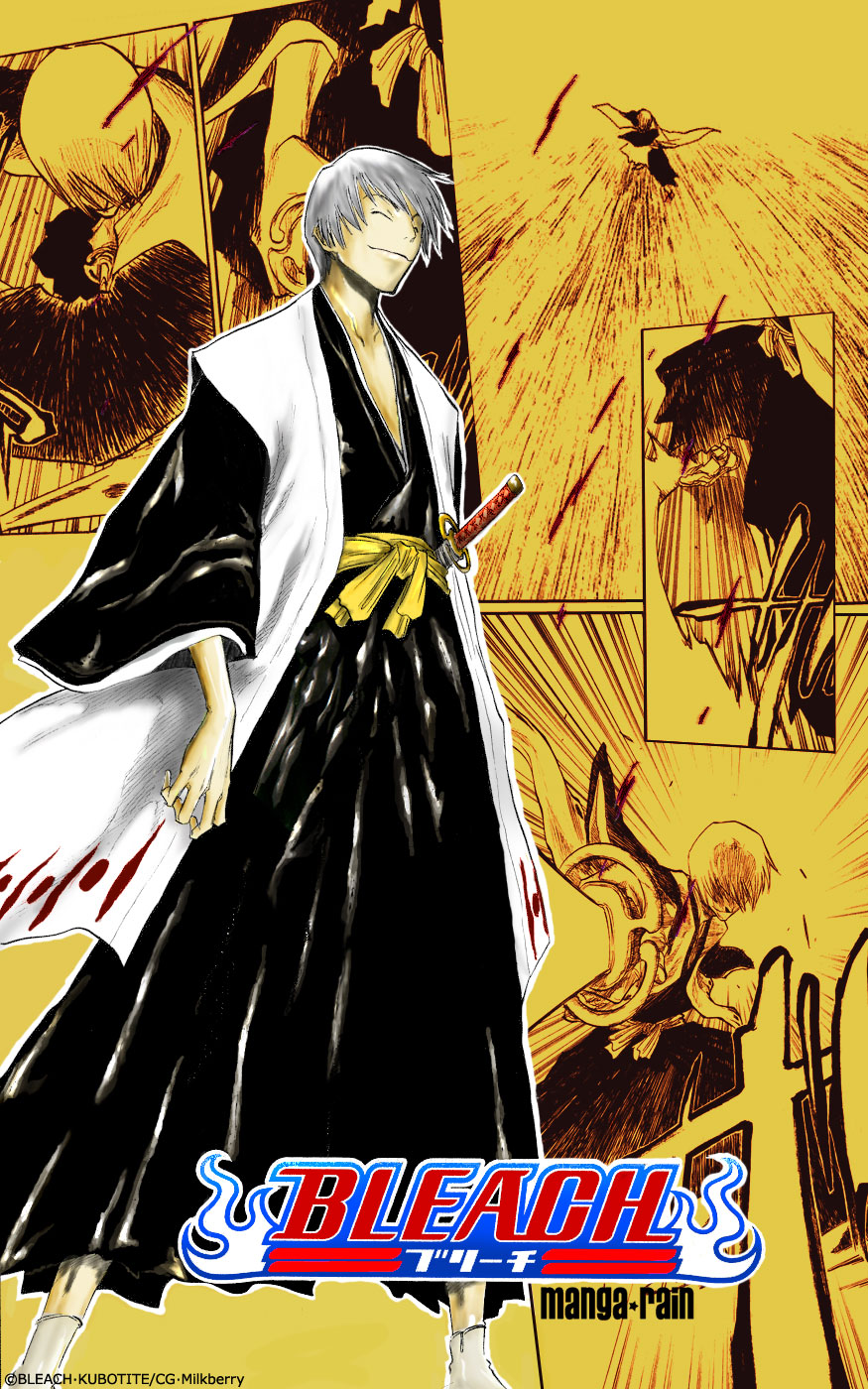 Bleach manga, chapter 75, page 4 of 20