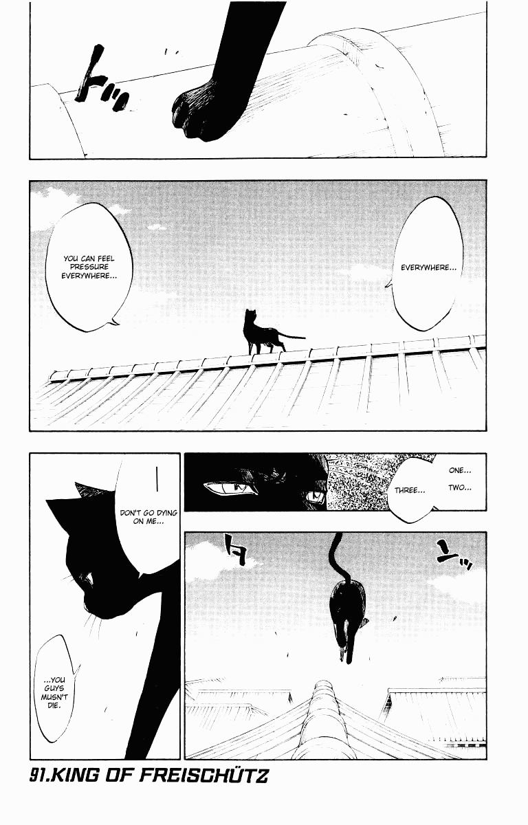 Bleach manga, chapter 91, page 1 of 25