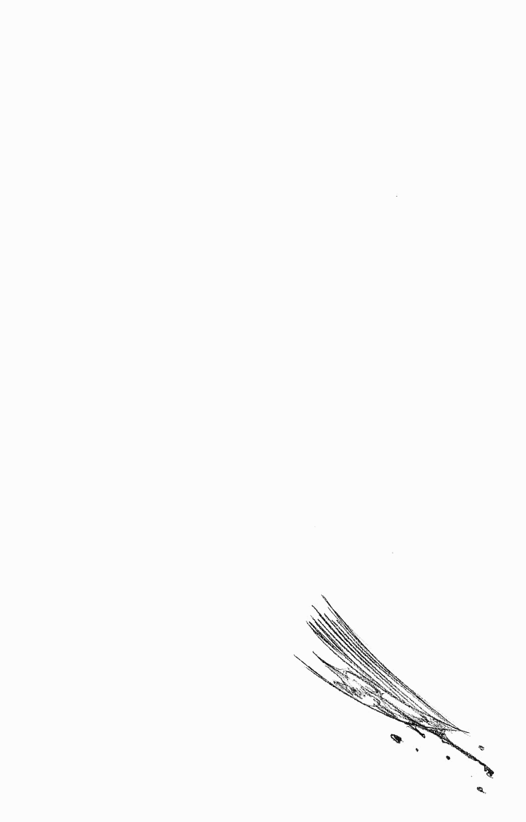 Bleach manga, chapter 97, page 21 of 21