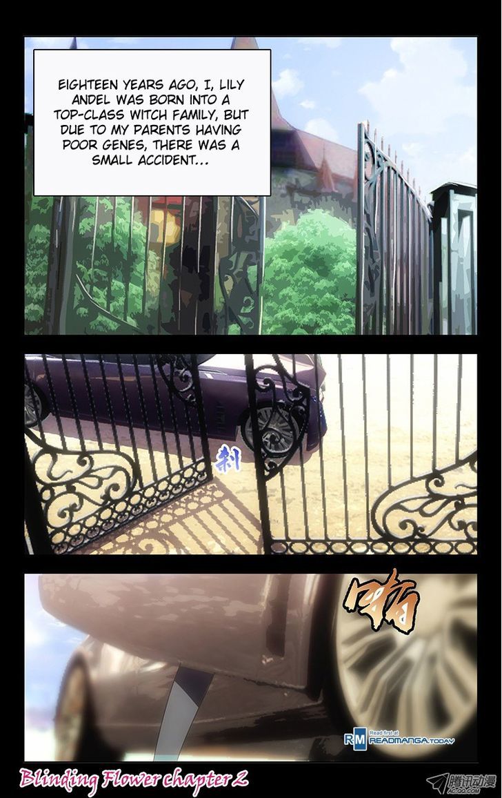 Blinding Flower Chapter 2 page 1 - Chapter 2