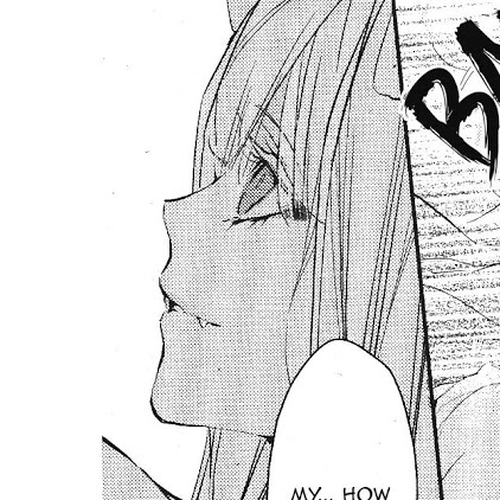 Bloody Mary (SAMAMIYA Akaza) Chapter 12.5 cover