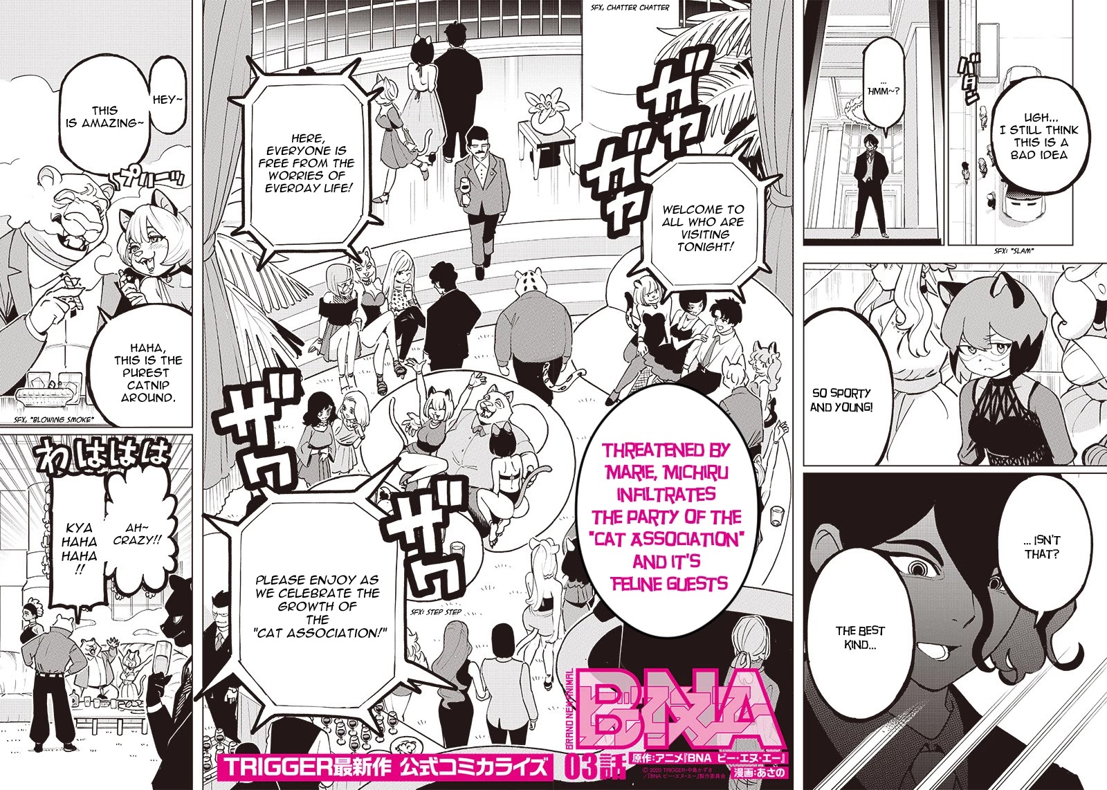 BNA Chapter 3 page 2 - Chapter 3