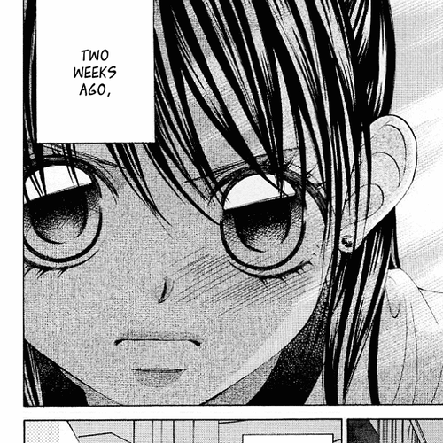 Boku no Hatsukoi o Kimi ni Sasagu Chapter 50 cover