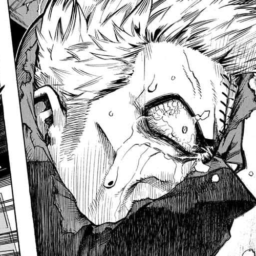 Boku no Hero Academia Chapter 264 cover