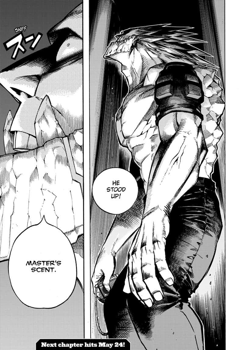 Boku no Hero Academia Chapter 271 page 17 - Chapter 271