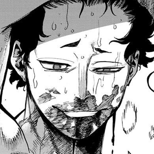 Boku no Hero Academia Chapter 294 cover