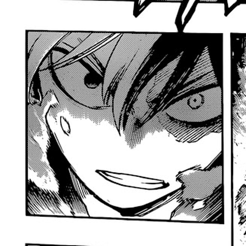 Boku no Hero Academia Chapter 351: Twin Flashing Flames cover