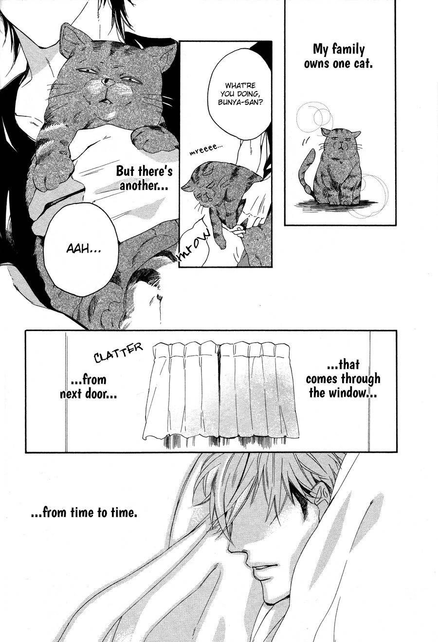 Boku to Neko to Hatsukoi Kousa Chapter 3 page 2 - Chapter 3