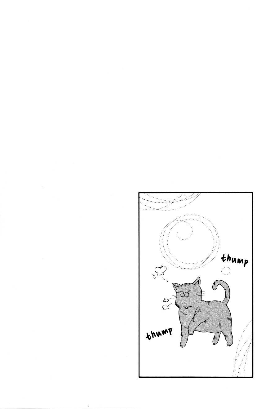 Boku to Neko to Hatsukoi Kousa Chapter 4 page 33 - Chapter 4