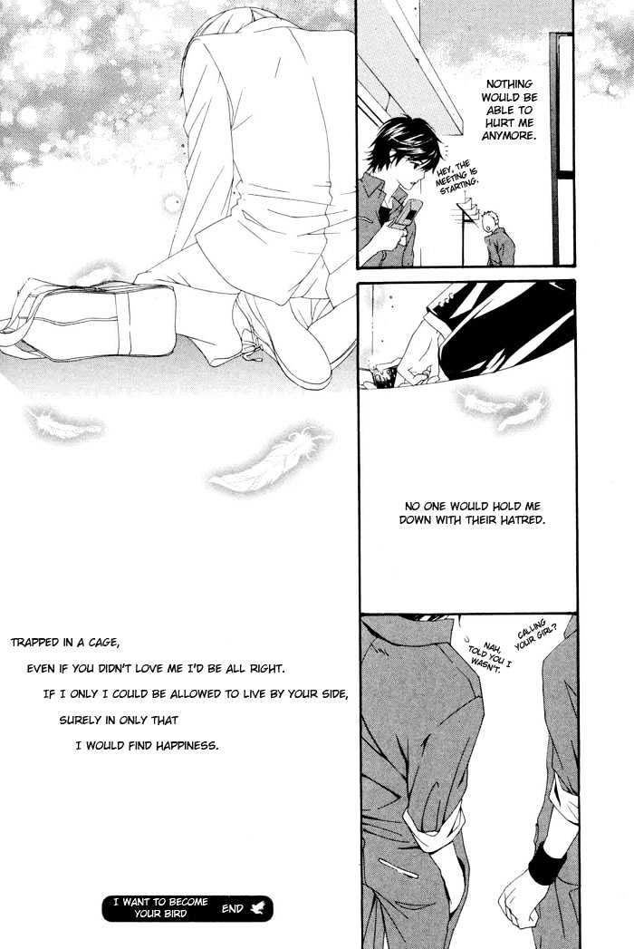 Boku wa Kimi no Tori ni Naritai Chapter 3 page 33 - Chapter 3 : I Want To Become Your Bird
