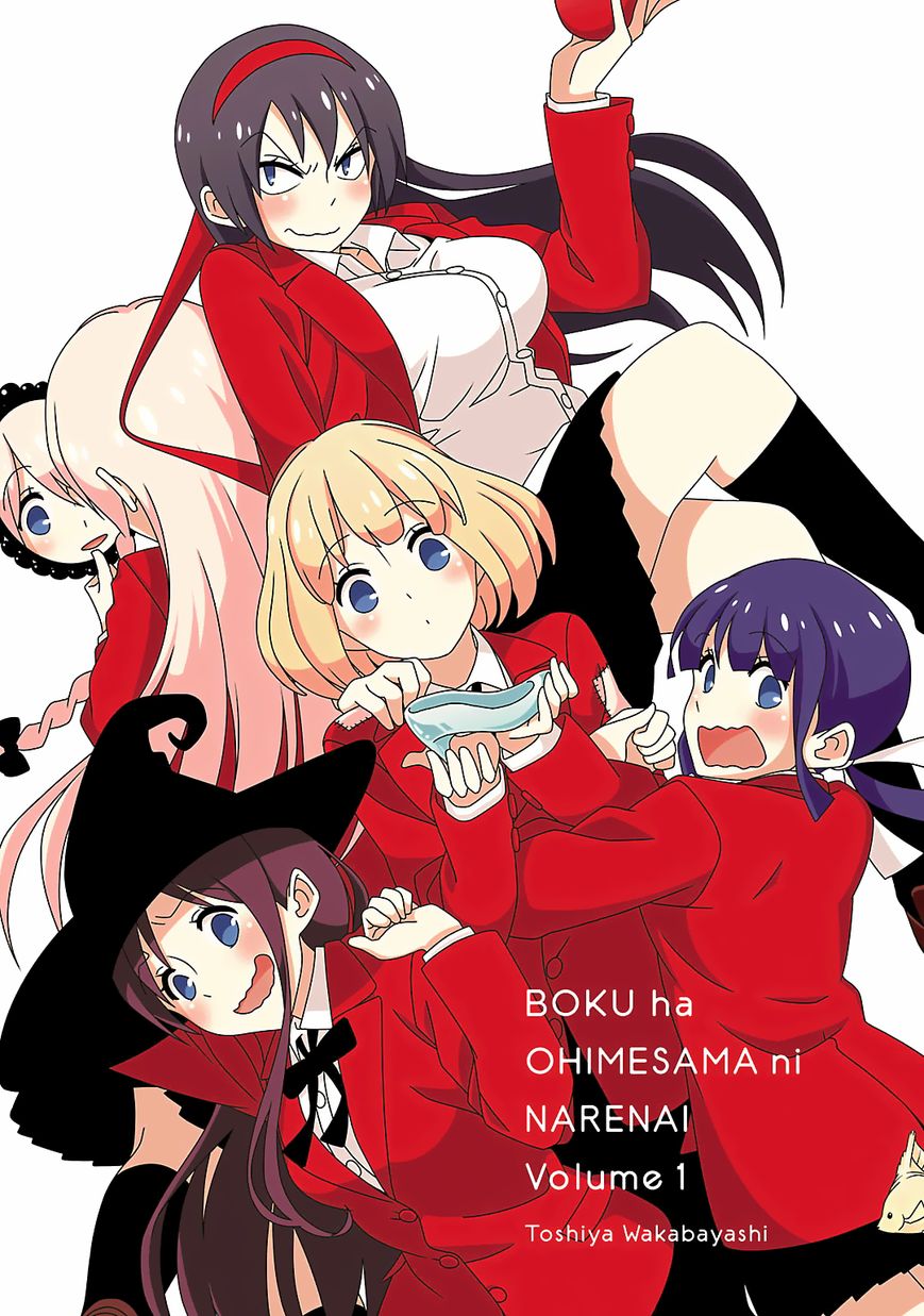 Boku wa Ohime-sama ni Narenai Chapter 1 page 3 - Chapter 1