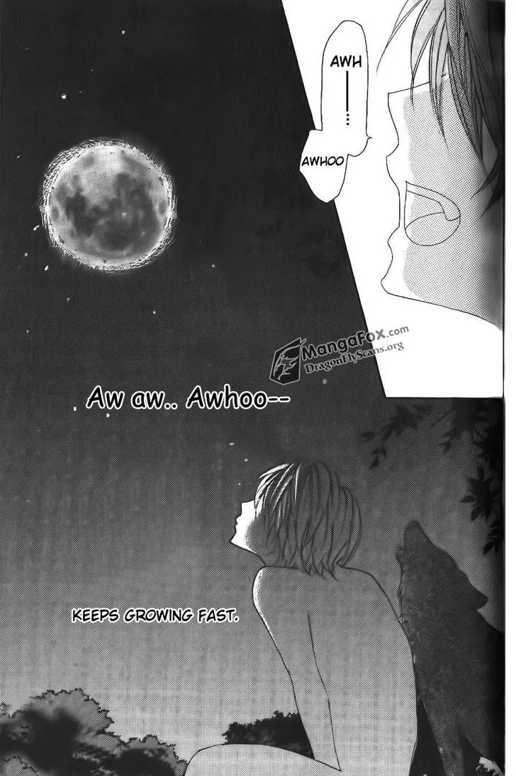 Boku wa Ookami Chapter 8.5 page 12 - Chapter 8.5