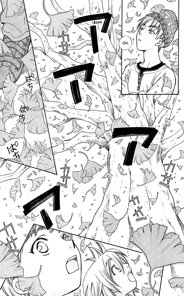 Boku wo Tsutsumu Tsuki no Hikari Chapter 9 page 37 - Chapter 9 : When the leaves from the ginkgo tree fall