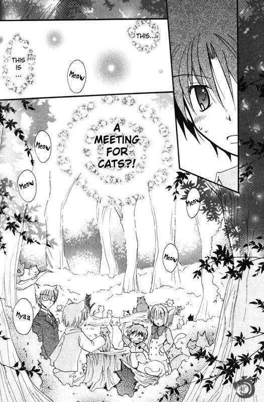 Boku x Neko? Chapter 3 page 15 - Chapter 3