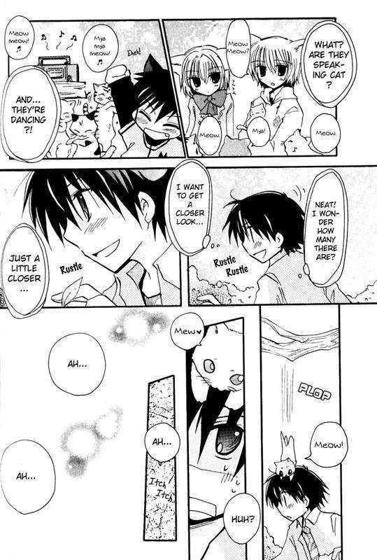 Boku x Neko? Chapter 3 page 17 - Chapter 3