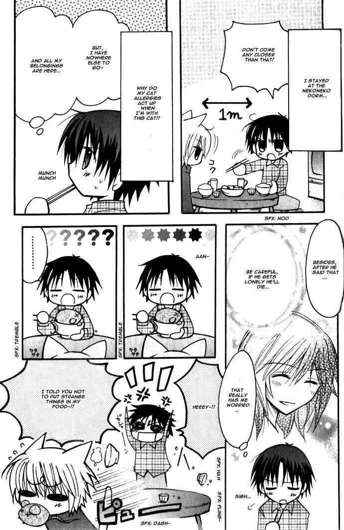 Boku x Neko? Chapter 6 page 17 - Chapter 6: [END]