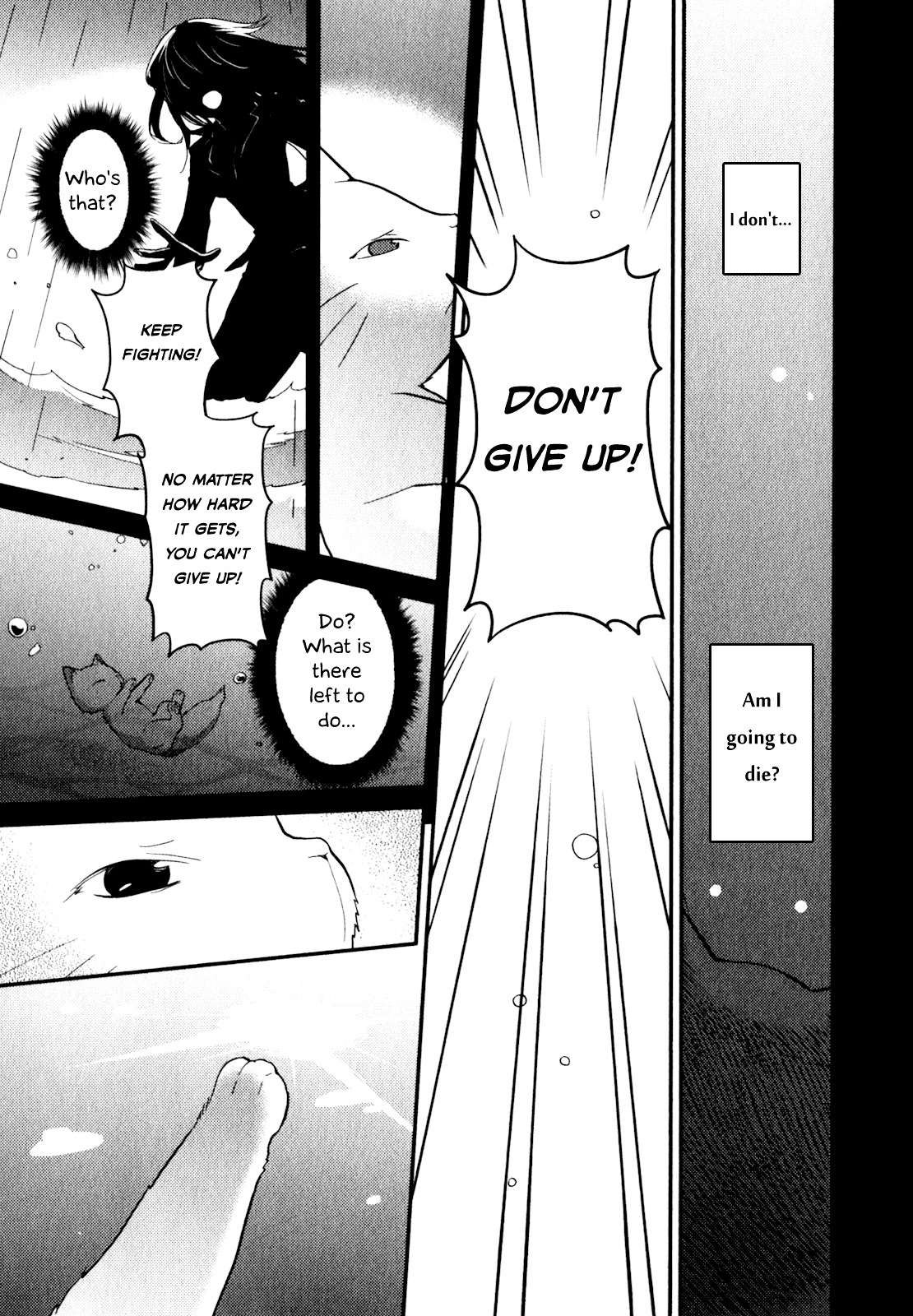Bokura wa Minna Ikite Iru! Chapter 11 page 12 - Chapter 11 : Miko and the Abandoned Cat's Feelings